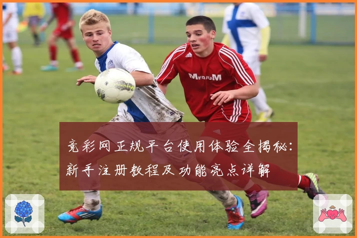 竞彩网正规平台使用体验全揭秘：新手注册教程及功能亮点详解